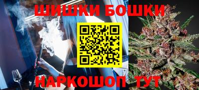 МДПВ Будённовск