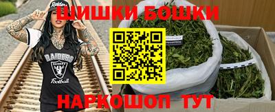 МДПВ Будённовск