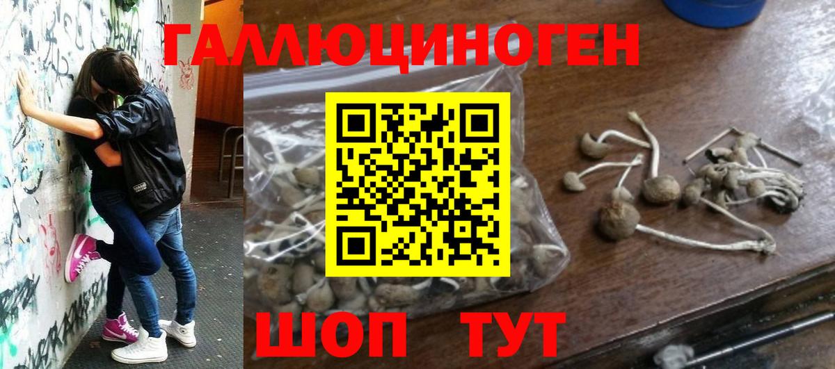 Лабинск  Галлюциногенные грибы Psilocybe  Вход с VPN 