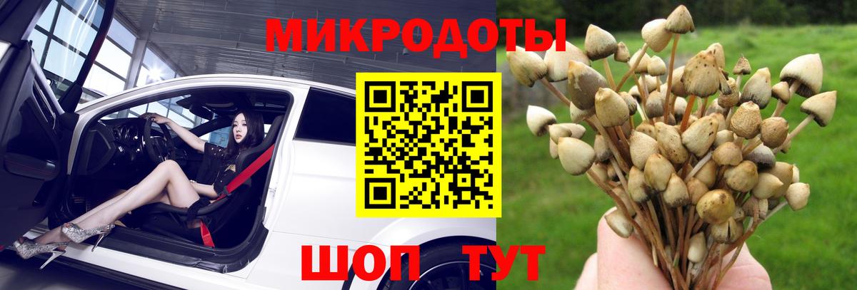 Галлюциногенные грибы мухоморы Лабинск